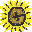 Kansas Sunshine Icon